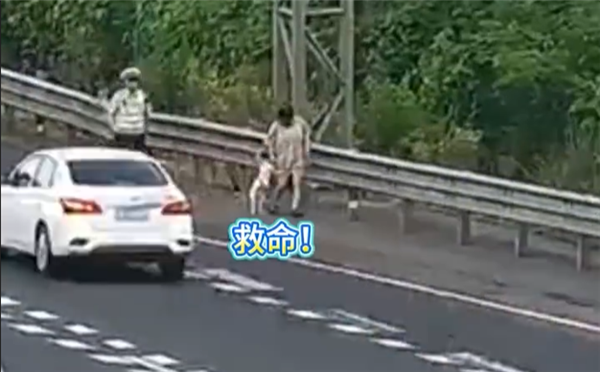 GAMESTAR註冊:狗在車內拉屎 高速上停車鏟屎 司機:應急車道不就是應急的嗎